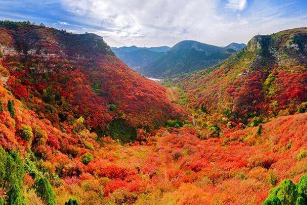 词语暑寒荣枯的意思是什么