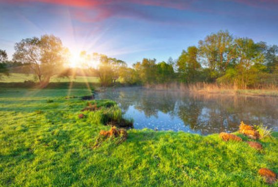 春天在什么地方干什么填空怎么填？