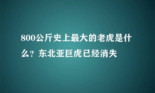 800公斤史上最大的老虎是什么？东北亚巨虎已经消失