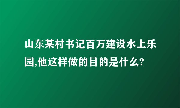 山东某村书记百万建设水上乐园,他这样做的目的是什么?