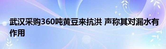 武汉采购360吨黄豆来抗洪声称其对漏水有作用