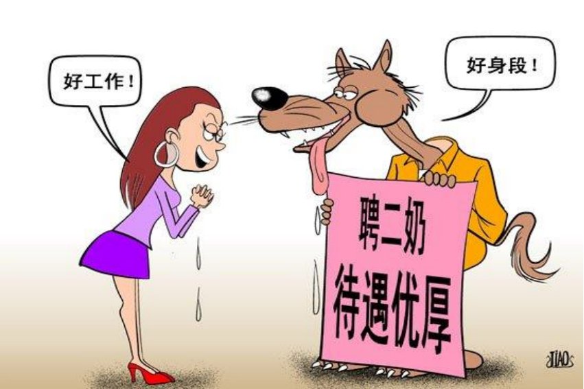 二奶是什么意思