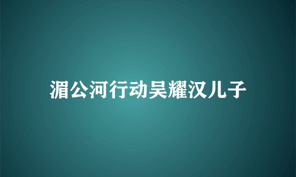 湄公河行动吴耀汉儿子