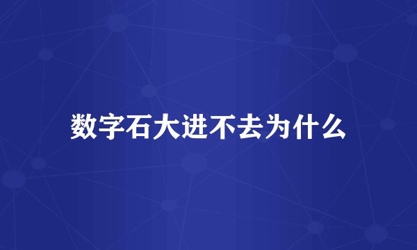 数字石大进不去为什么