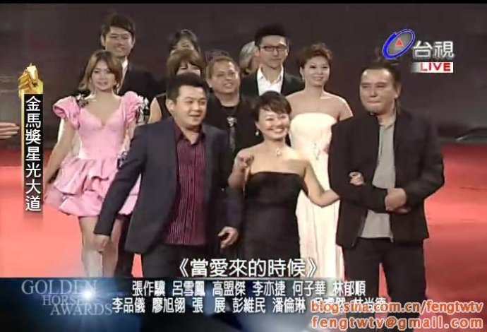 第41届台湾电影金马奖的获奖名单