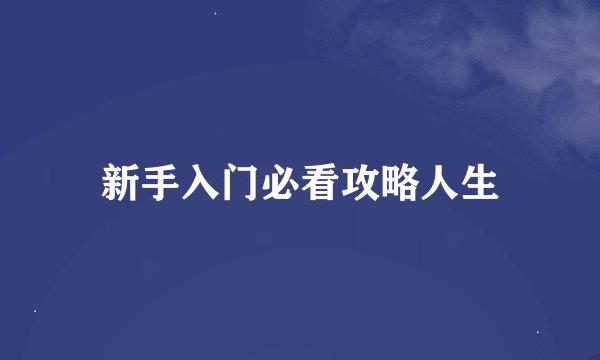 新手入门必看攻略人生