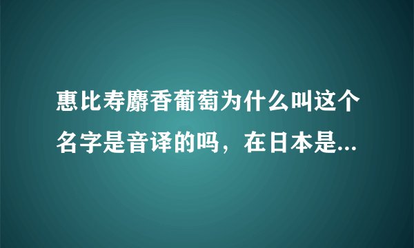 惠比寿麝香葡萄为什么叫这个名字是音译的吗，在日本是什么意思。怎么会有这样的团体，在日本很受欢迎吗