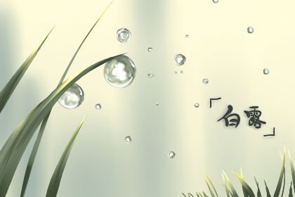 白露是几月几日2020年哪天？