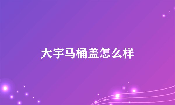 大宇马桶盖怎么样