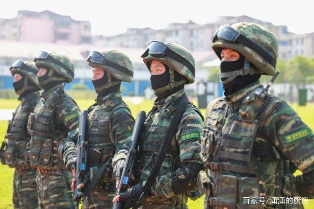 猎豹战队电视剧剧情介绍