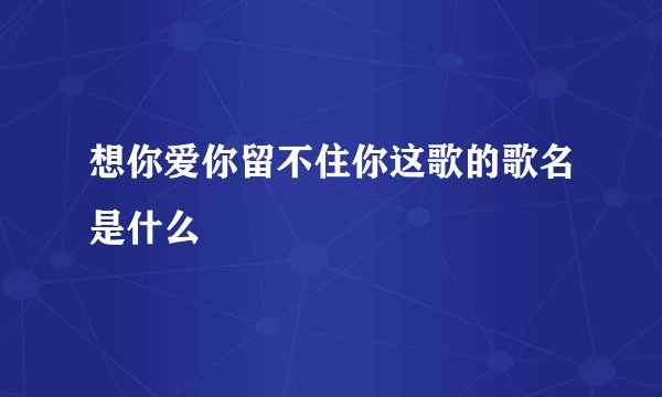 想你爱你留不住你这歌的歌名是什么
