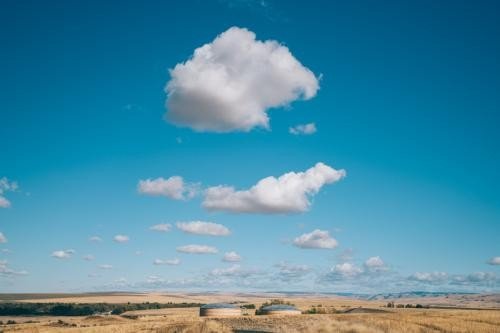 假想敌的意思是什么？