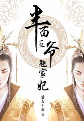 王爷情之半面王妃的内容简介