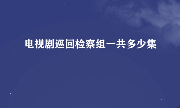 电视剧巡回检察组一共多少集