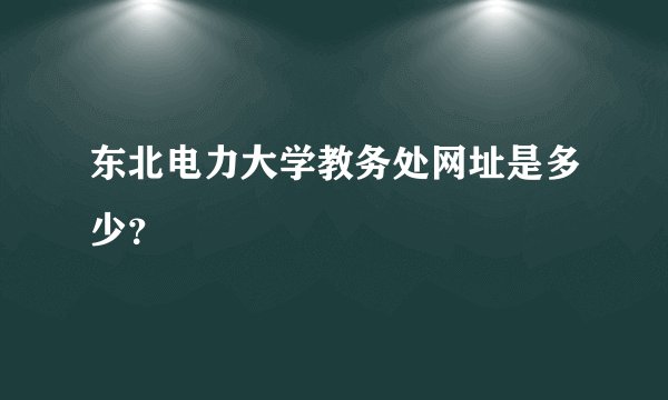 东北电力大学教务处网址是多少？