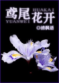 清枫语所有作品有哪些???