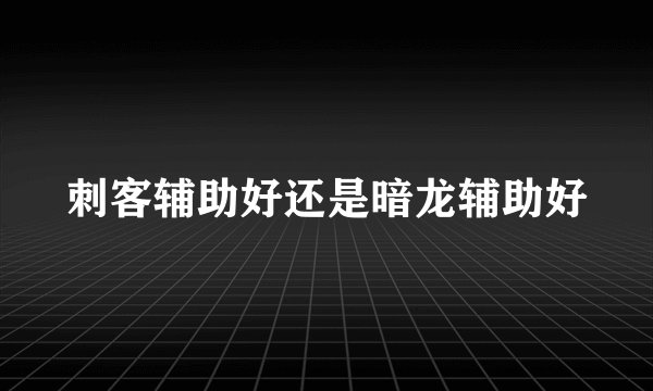 刺客辅助好还是暗龙辅助好