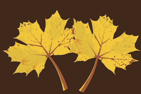 pian拼音的正确发音