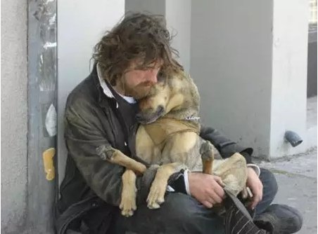 人和动物之间的感人故事