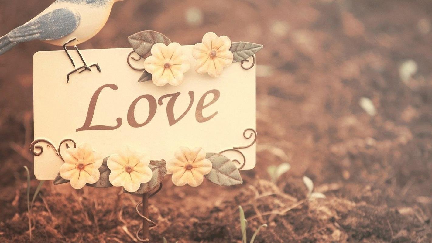 大学生应该谈恋爱吗