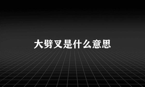 大劈叉是什么意思