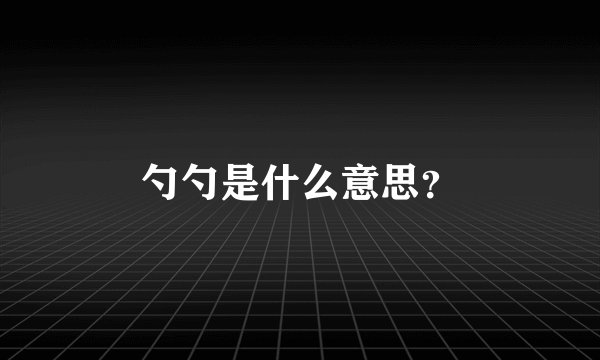 勺勺是什么意思？