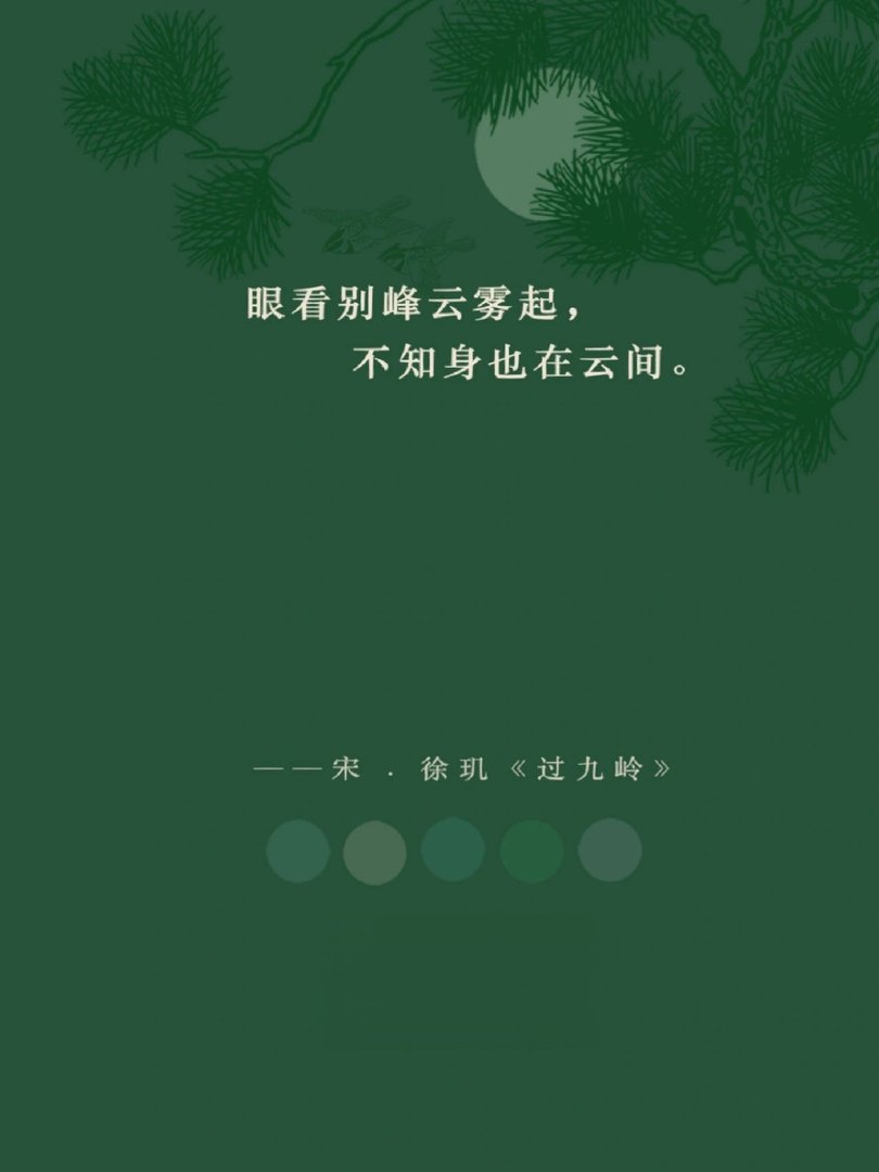 长风吹月来，清影落半池。