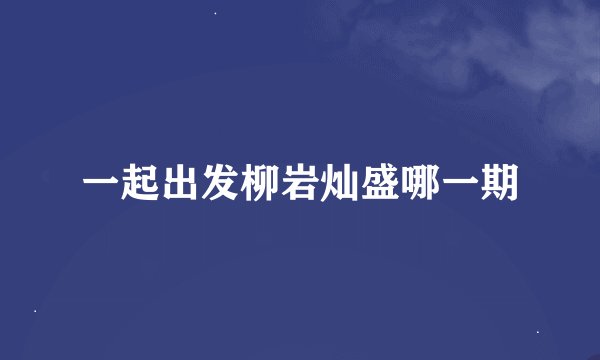一起出发柳岩灿盛哪一期