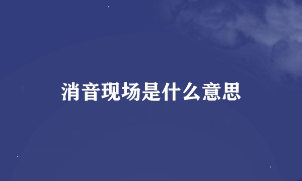 消音现场是什么意思