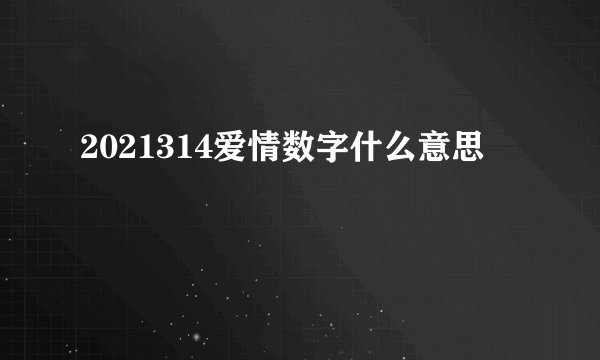 2021314爱情数字什么意思