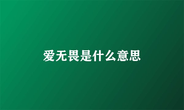 爱无畏是什么意思