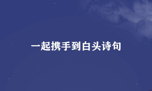 一起携手到白头诗句