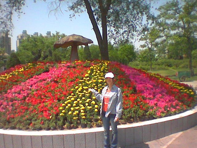 尼寇的尼寇的失明