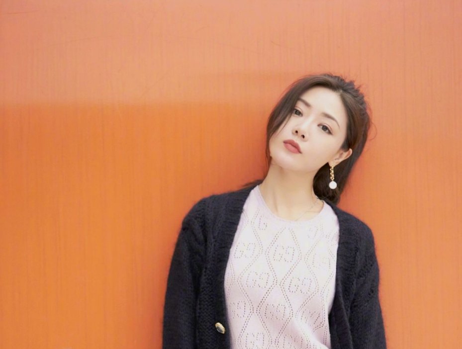 邓家佳演的电视剧