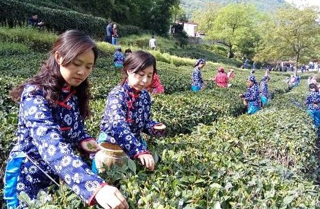 甘肃人是什么人种?