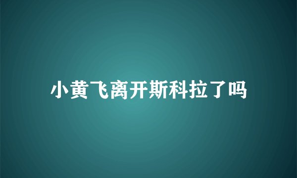 小黄飞离开斯科拉了吗