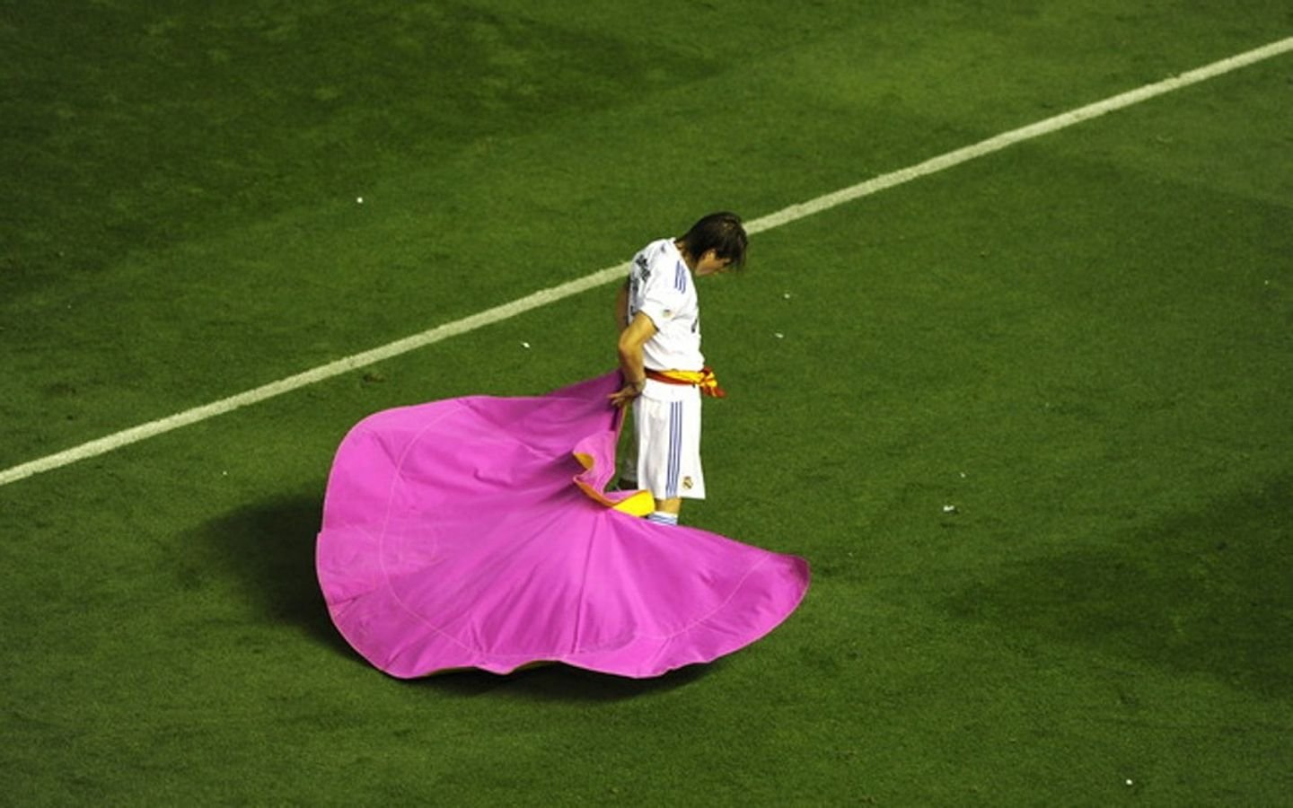 求劳尔斗牛舞壁纸