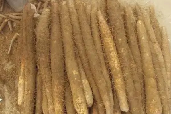 “中国山药之乡”指的是哪里？