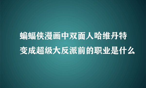蝙蝠侠漫画中双面人哈维丹特变成超级大反派前的职业是什么