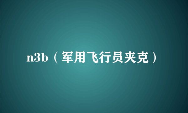 n3b（军用飞行员夹克）