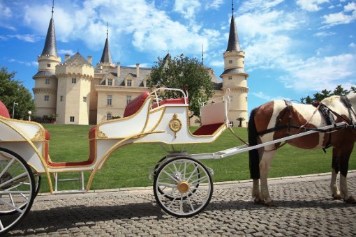 来日方长什么意思?