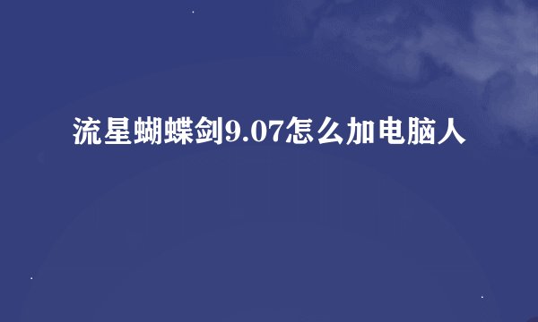 流星蝴蝶剑9.07怎么加电脑人