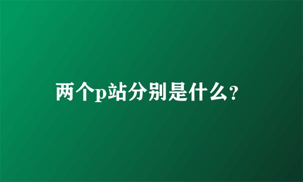 两个p站分别是什么？