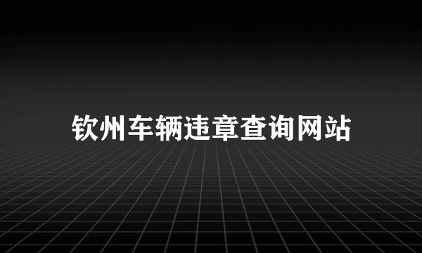 钦州车辆违章查询网站