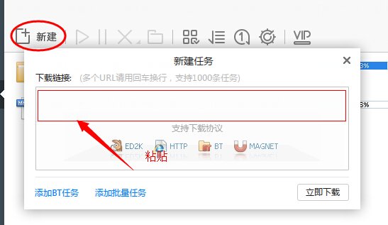 可以用迅雷下载电影的网站