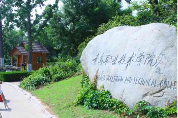 青岛职业技术学院2023年录取分数线多少