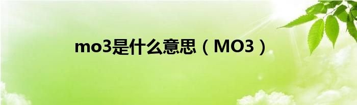 mo3是什么意思MO3