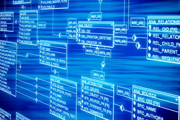 在网络上检索信息时,你一般会通过哪些渠道进行搜索?