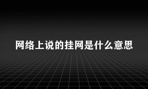 网络上说的挂网是什么意思