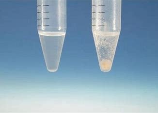 聚沉是什么意思